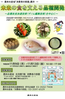 「消費者の部屋」チラシ