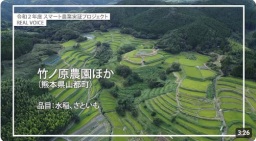 NO.25-1 竹ノ原農園ほか(熊本県山都町)