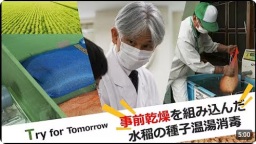Try for Tomorrow 事前乾燥を組み込んだ水稲の種子温湯消毒技術