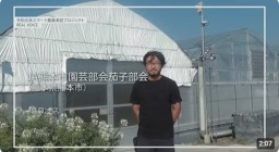 JA熊本市園芸部会茄子部会 (熊本県熊本市)