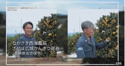 ながさき西海農協させぼ広域かんきつ部会(長崎県佐世保市)