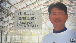 JA西三河きゅうり部会生産者(下村堅二)(愛知県西尾市)