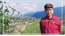 (株)ジャパンプレミアムヴィンヤード(山梨県中央市)
