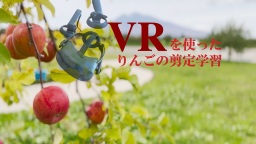 We Try!VRを使ったりんごの剪定学習支援システム