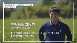 NO.15 鹿児島堀口製茶(有)(鹿児島県志布志市)