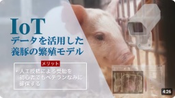 We Try!IoTデータを活用した養豚の繁殖モデル