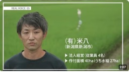 NO.5 (有)米八(新潟県新潟市)