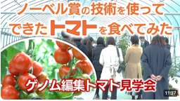 ノーベル賞の技術を使ってできたトマトを食べてみた