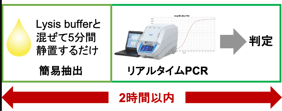 新規遺伝子検査法では、（1）Lysis bufferと混ぜて5分間静置するだけの簡易抽出、（2）リアルタイムPCRで判定が2時間以内で可能なことを示した図