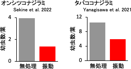 振動による防除効果を「オンシツコナジラミ」と「タバココナジラミ」で比較した図。無処理よりも防除効果が高い。