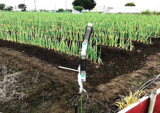 ネギ露地ほ場で装置を設置した写真