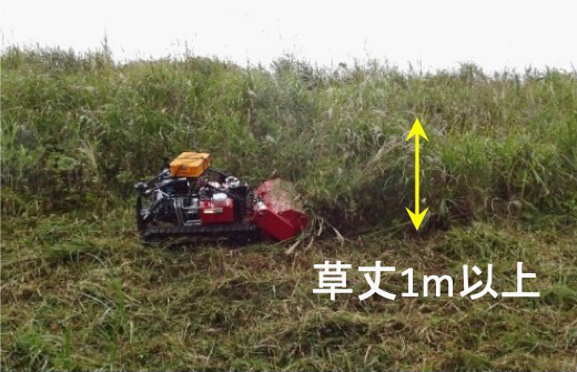 傾斜地で草刈りをしている写真。草丈が1mを超えても作業可能。