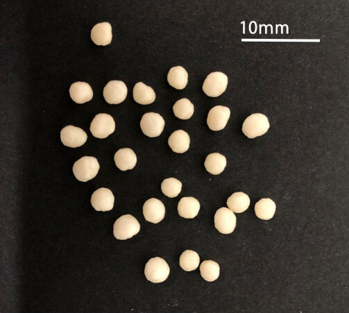 米を活用した生分解性樹脂で被覆した肥料のプロトタイプの写真