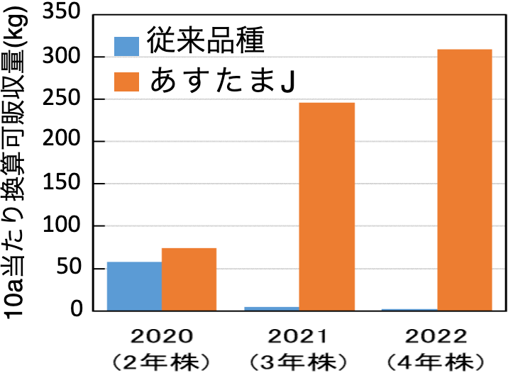 殺菌剤無散布条件下の暖地露地畑における、従来品種と「あすたまJ」の収量比較（2年株、3年株、4年株）。従来品種は2年株から4年株にかけて収量が減っているが、「あすたまJ」は2年株から4年株にかけて収量が増加している。