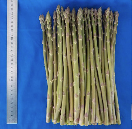 「あすたまJ」の収穫物の写真