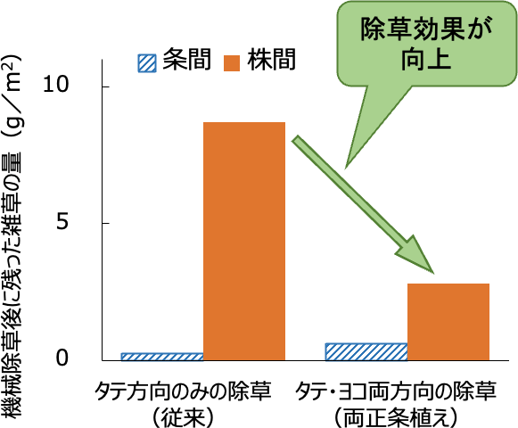 機械除草後の雑草の量を「従来の田植え」と「両正条植え」で比較した図。「両正条植え」は除草効果が向上。