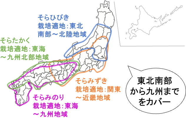 「そらシリーズ」の栽培適地を色別に示した図。東北南部から九州までをカバーしている。「そらひびき」は東北南部から北陸地域。「そらみずき」は関東から近畿地域。「そらたかく」は東海から九州北部地域。「そらみのり」は東海から九州地域。