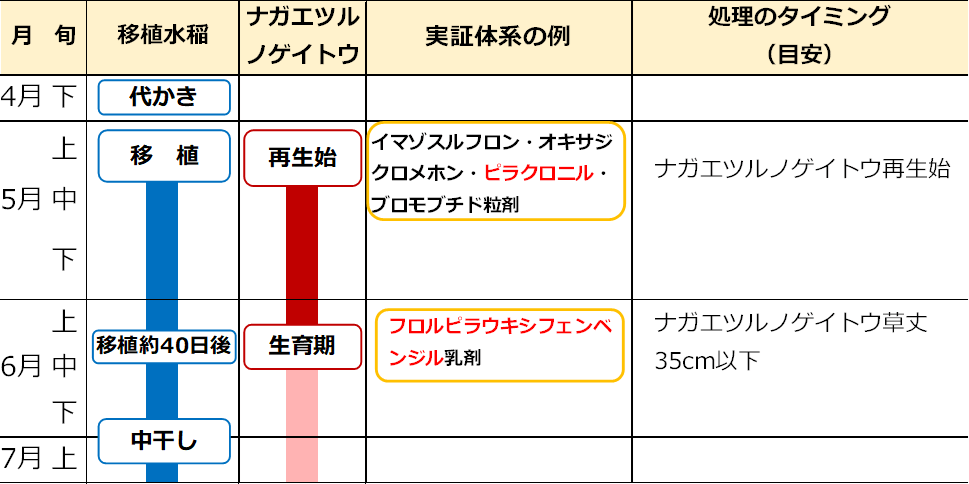 早期栽培地域（千葉県での事例）の水田における移植栽培期間中のナガエツルノゲイトウの防除体系を示した図。
