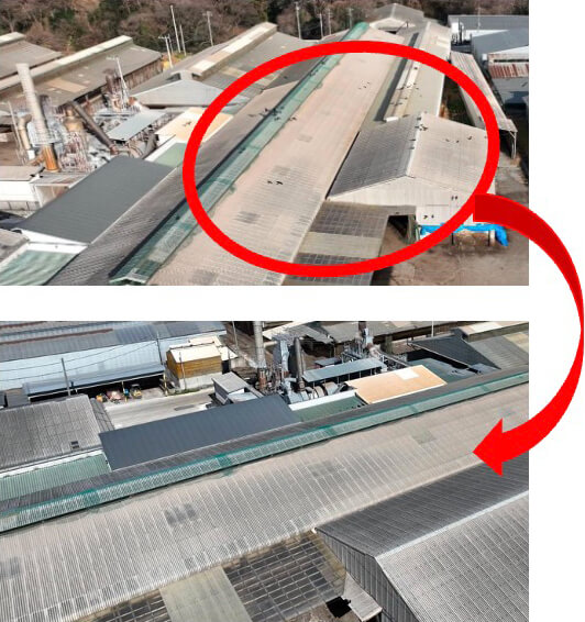 上は養鶏場屋根に群がる約80羽のカラスの写真。下はレーザーを照射することで、個体数の削減を確認できた写真。