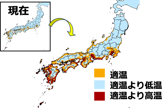 「うんしゅうみかん」の今世紀末（2080～2099年）に2.6度上昇した場合（中程度）の栽培に適した地域の予測マップ