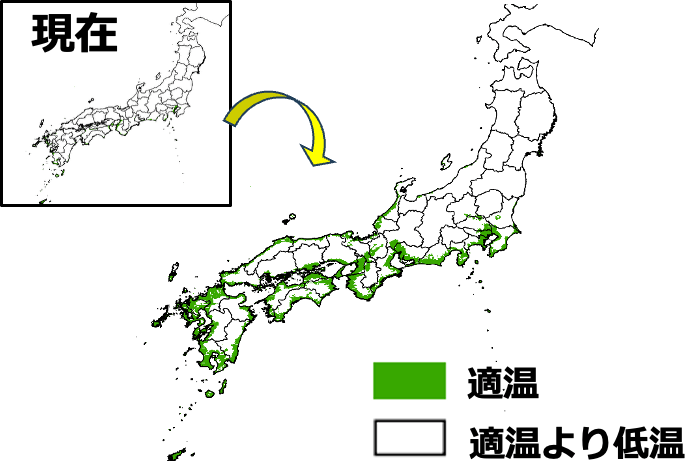 「アボカド」の今世紀末（2080～2099年）に2.6度上昇した場合（中程度）の栽培に適した地域の予測マップ