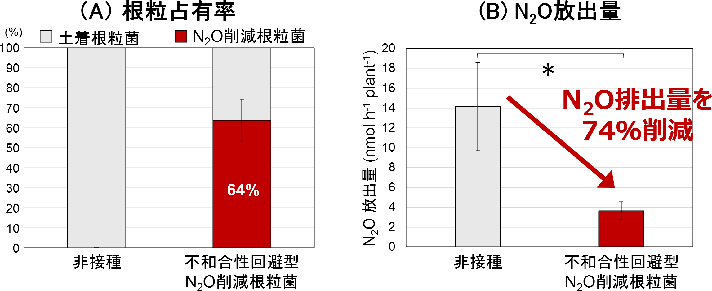 「土着根粒菌」と「N₂O削減根粒菌」における根粒占有率およびN₂O放出量の比較。N₂O排出量は74％削減。