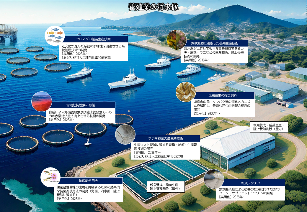技術マップ_養殖業