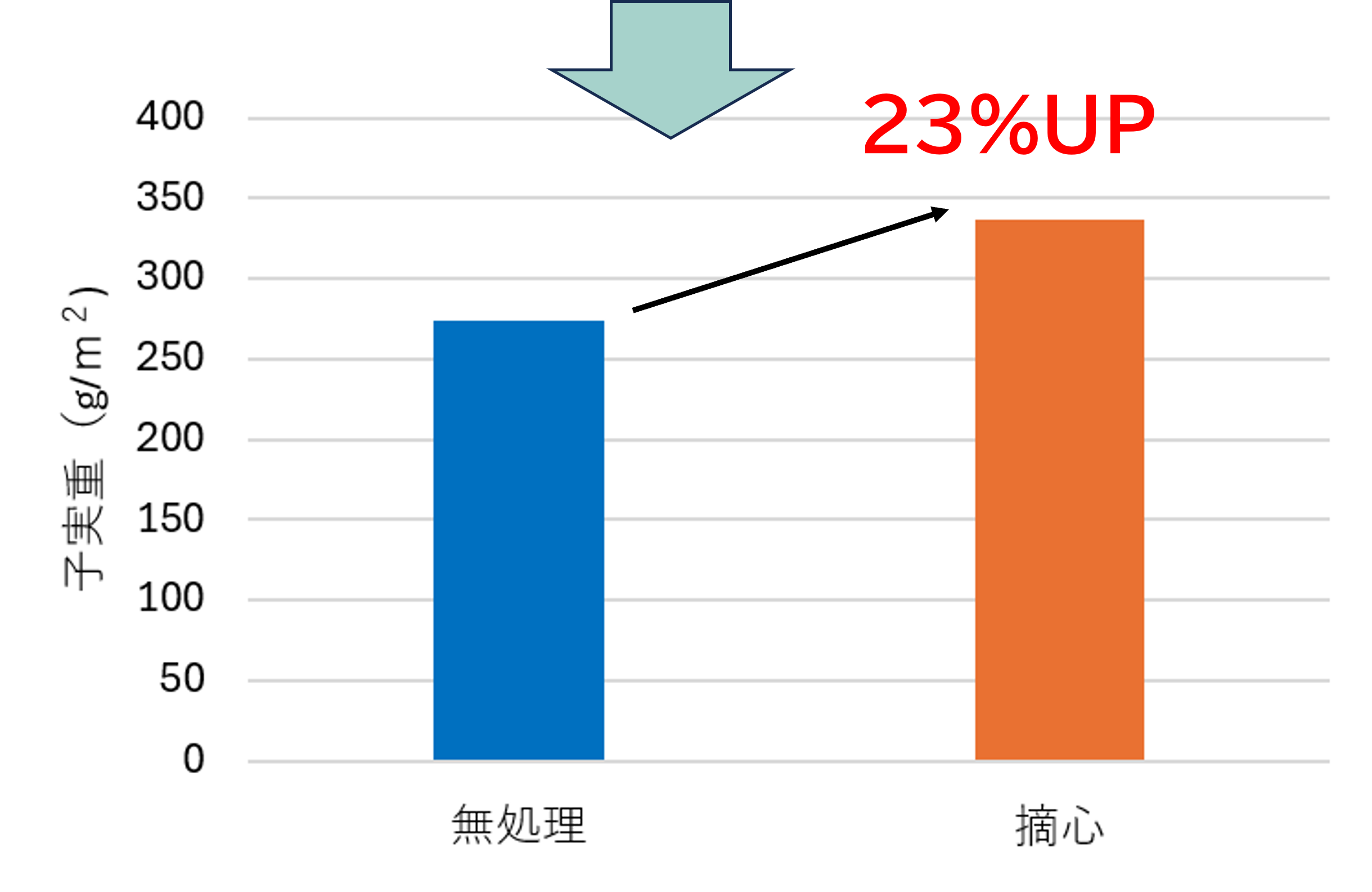 ドローンセンシングにより要摘心箇所(赤丸)を特定し、 摘心を実施することで、倒伏が軽減し子実重が向上(愛知県)