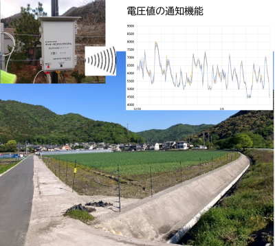 通電性の高い舗装資材と通知機能付き電気柵とを組み合わせた様子
