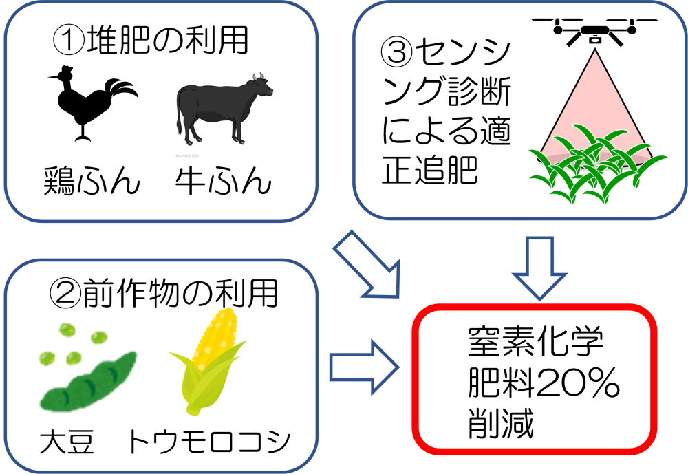 小麦の窒素化学肥料を削減するための3つの技術