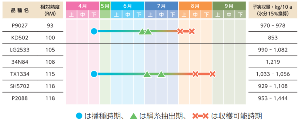 温暖地での早まきの例(試験地:茨城県石岡市)