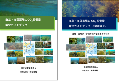 CO2貯留量算定ガイドブック