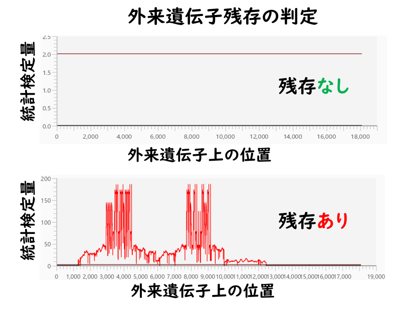 外来遺伝子残存の判定