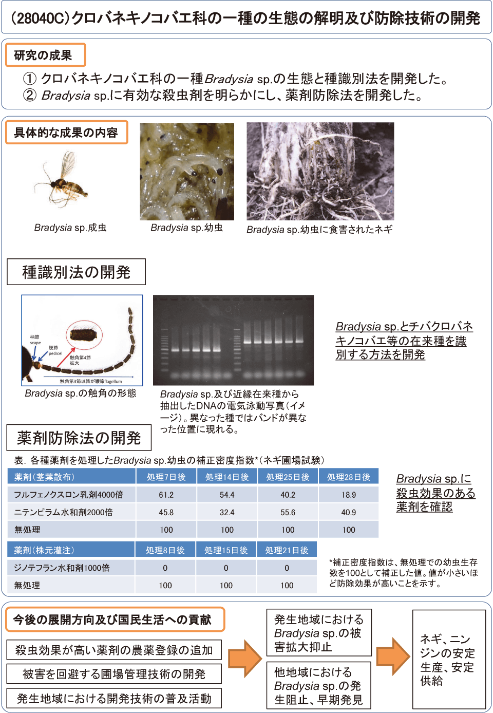 クロバネキノコバエ科の一種の生態の解明及び防除手法の開発 農林水産技術会議