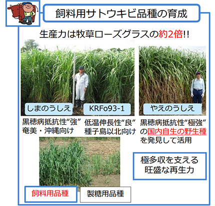 若手農林水産研究者表彰 農林水産技術会議