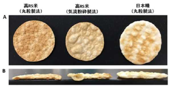 新品種米を用いた様々な低カロリー機能性食品の開発 農林水産技術会議