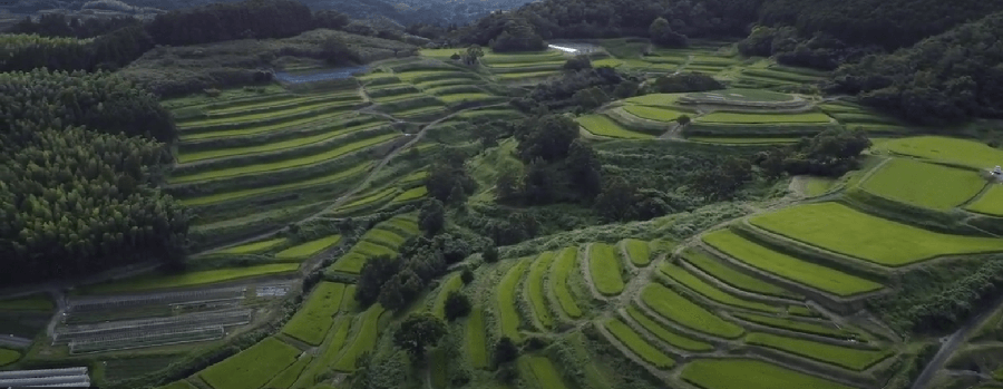 写真：熊本県山都町の棚田