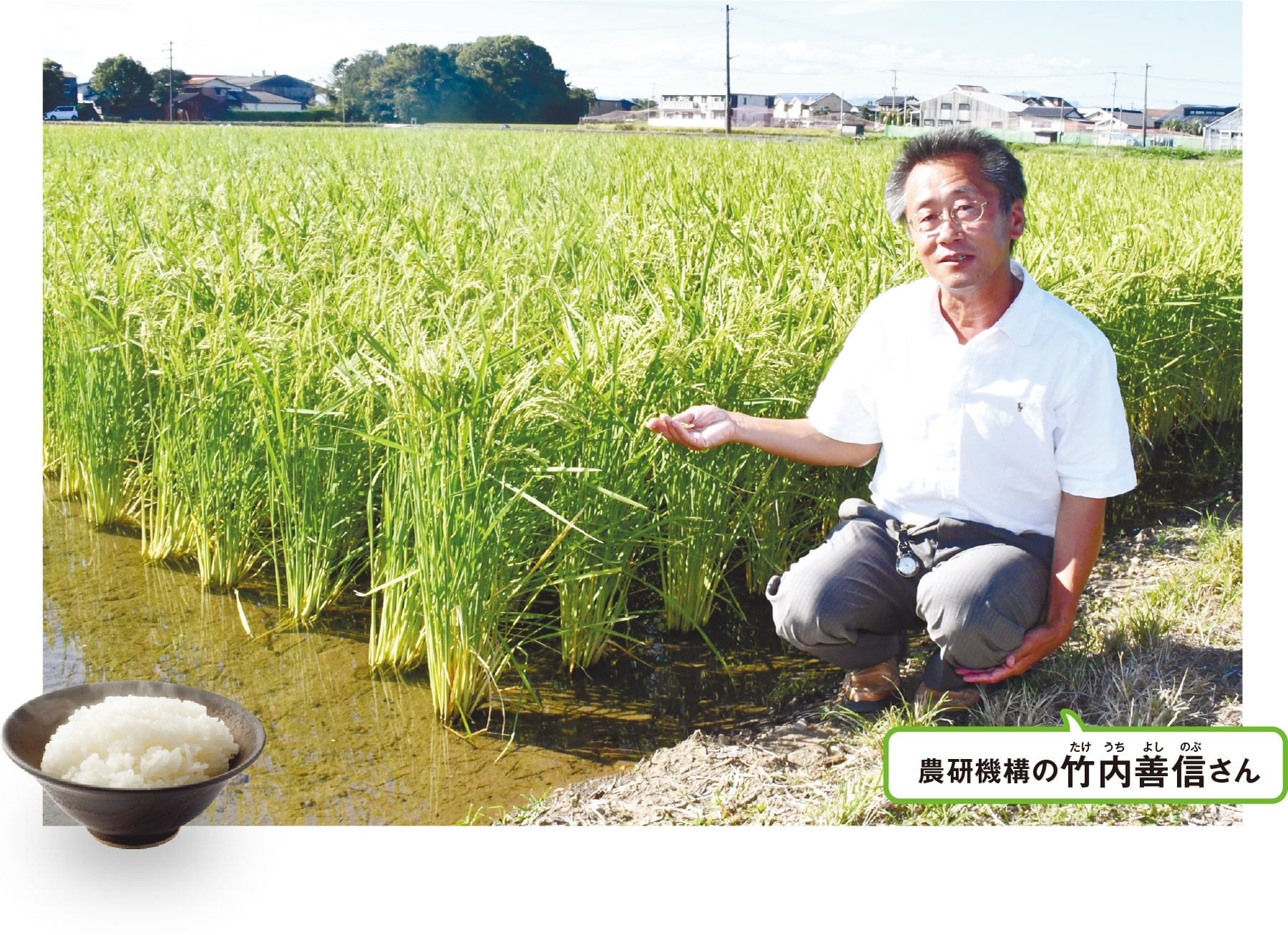 写真：農研機構の竹内善信さん