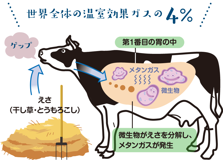 牛のげっぷの概要図