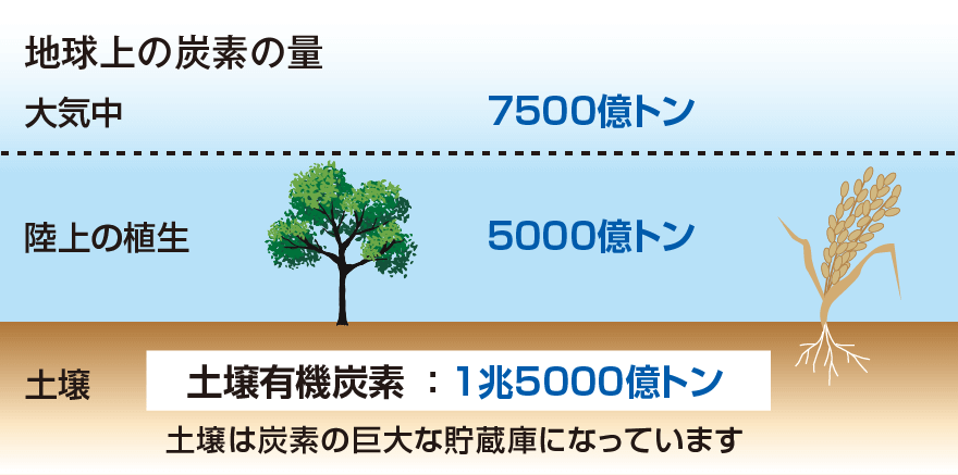 地球上の炭素の量の概要図：大気中7500億トン、陸上の植生5000億トン、土壌有機炭素1兆5000億トン、土壌は炭素の巨大な貯蔵庫になっています