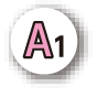 A1