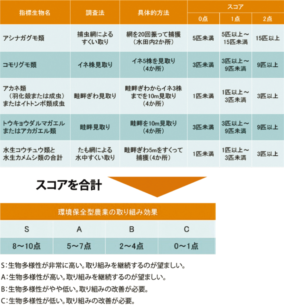 評価手順の概要図