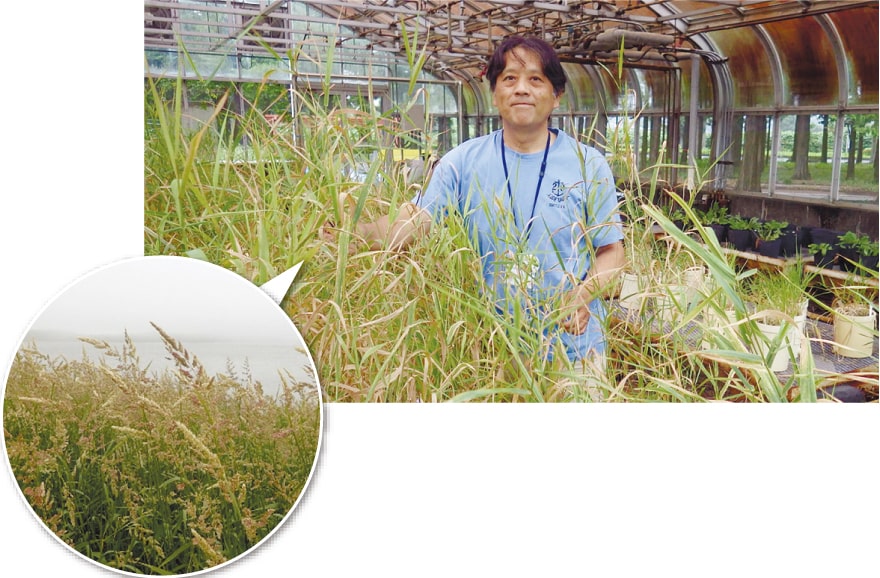 写真：実験施設の様子