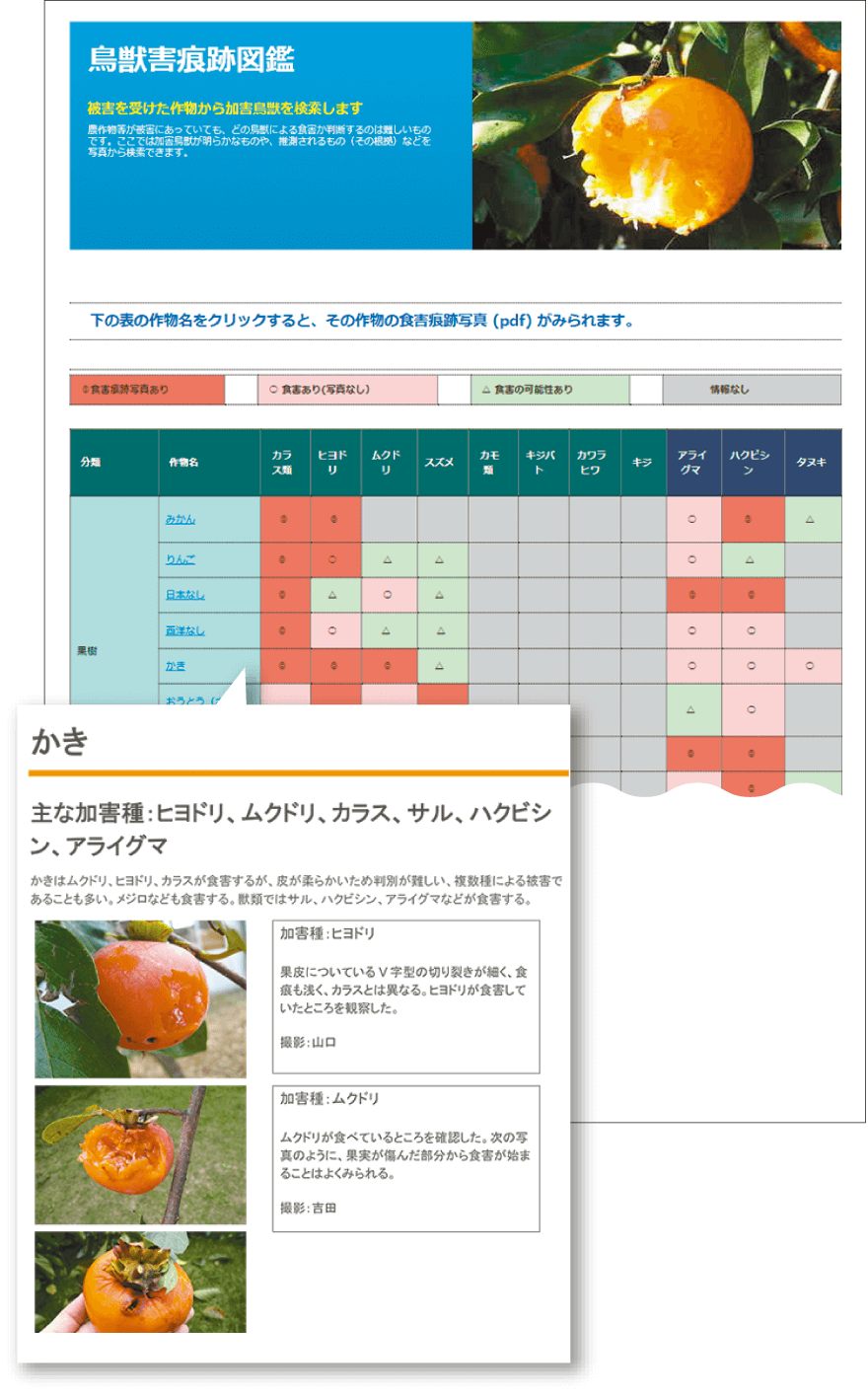 スクリーンショット：鳥獣害痕跡図鑑