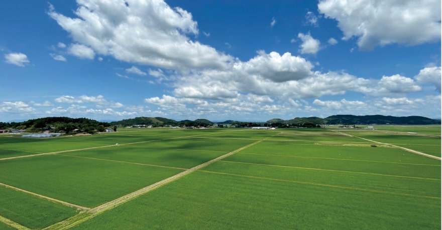 写真：水田が一面に広がっている風景