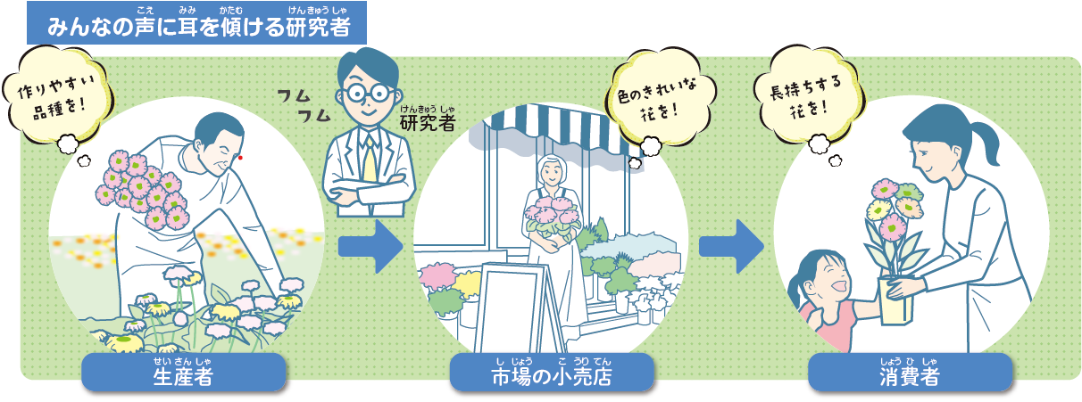 みんなの声に耳を傾ける研究者の図：作りやすい品種を求める生産者と、色のきれいな花を求める市場の小売店、そして、長持ちする花を求める消費者がいる