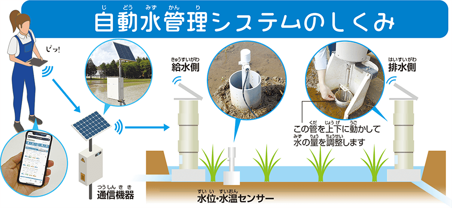 自動水管理システムのしくみの概要図