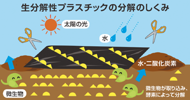 生分解性プラスチックの分解のしくみの概要図