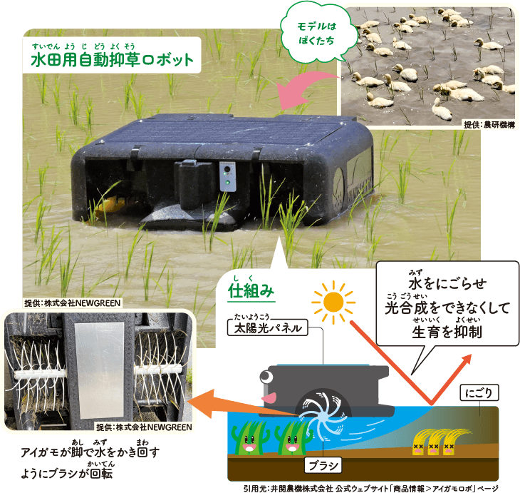 水田用自動抑草ロボットに関する写真と解説図。右上はモデルとなったアイガモの写真（提供：農研機構）。中央は水田の水面を進む水田用自動抑草ロボットの写真（提供：株式会社NEWGREEN）。右下は仕組みの解説図（引用元：井関農機株式会社 公式ウェブサイト「商品情報＞アイガモロボ」ページ）。太陽光パネルを搭載した水田用自動抑草ロボットがブラシで水をかき回し、水をにごらせ雑草の光合成をできなくして育生を抑制する。左下は水田用自動抑草ロボット底面のブラシの写真（提供：株式会社NEWGREEN）。アイガモが脚で水をかき回すようにブラシが回転。