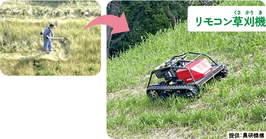 人が背負い式刈払機で斜面の草刈りをしている写真と、リモコン草刈機が斜面の草刈りをする様子の写真（提供:農研機構）